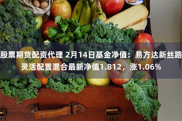 股票期货配资代理 2月14日基金净值：易方达新丝路灵活配置混合最新净值1.812，涨1.06%
