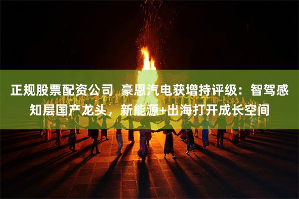 正规股票配资公司  豪恩汽电获增持评级：智驾感知层国产龙头，新能源+出海打开成长空间
