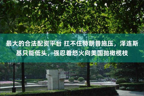 最大的合法配资平台 扛不住特朗普施压，泽连斯基只能低头，强忍着怒火向美国抛橄榄枝