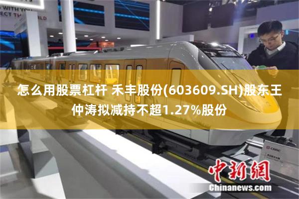 怎么用股票杠杆 禾丰股份(603609.SH)股东王仲涛拟减持不超1.27%股份