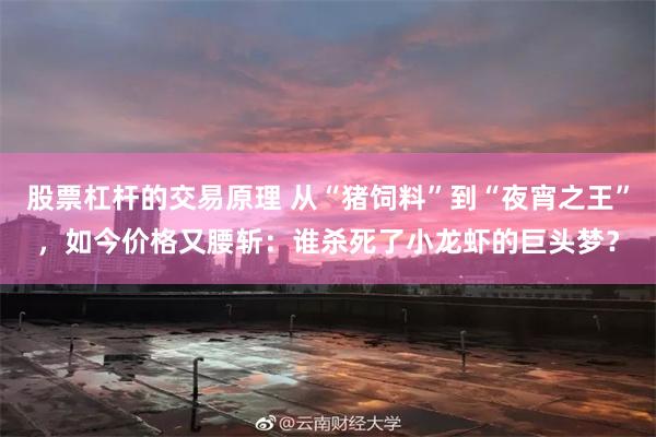 股票杠杆的交易原理 从“猪饲料”到“夜宵之王”，如今价格又腰斩：谁杀死了小龙虾的巨头梦？