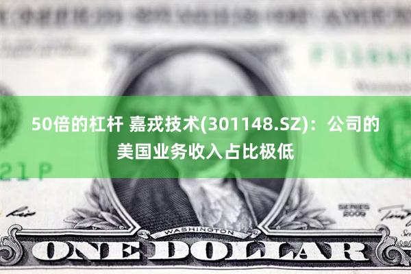 50倍的杠杆 嘉戎技术(301148.SZ)：公司的美国业务收入占比极低