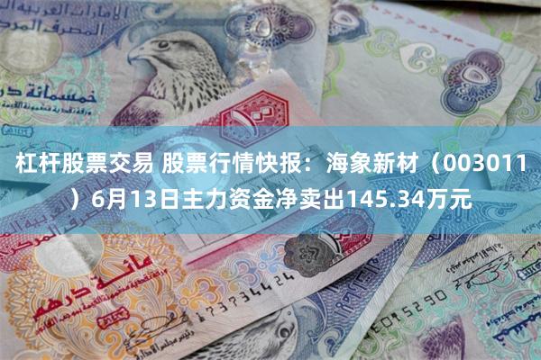 杠杆股票交易 股票行情快报：海象新材（003011）6月13日主力资金净卖出145.34万元