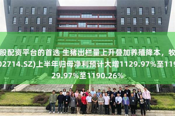 炒股配资平台的首选 生猪出栏量上升叠加养殖降本，牧原股份(002714.SZ)上半年归母净利预计大增1129.97%至1190.26%
