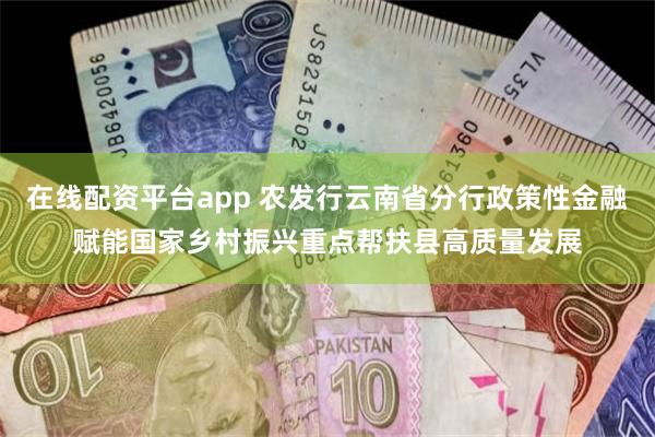 在线配资平台app 农发行云南省分行政策性金融赋能国家乡村振兴重点帮扶县高质量发展