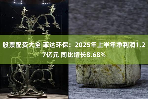 股票配资大全 菲达环保：2025年上半年净利润1.27亿元 同比增长8.68%